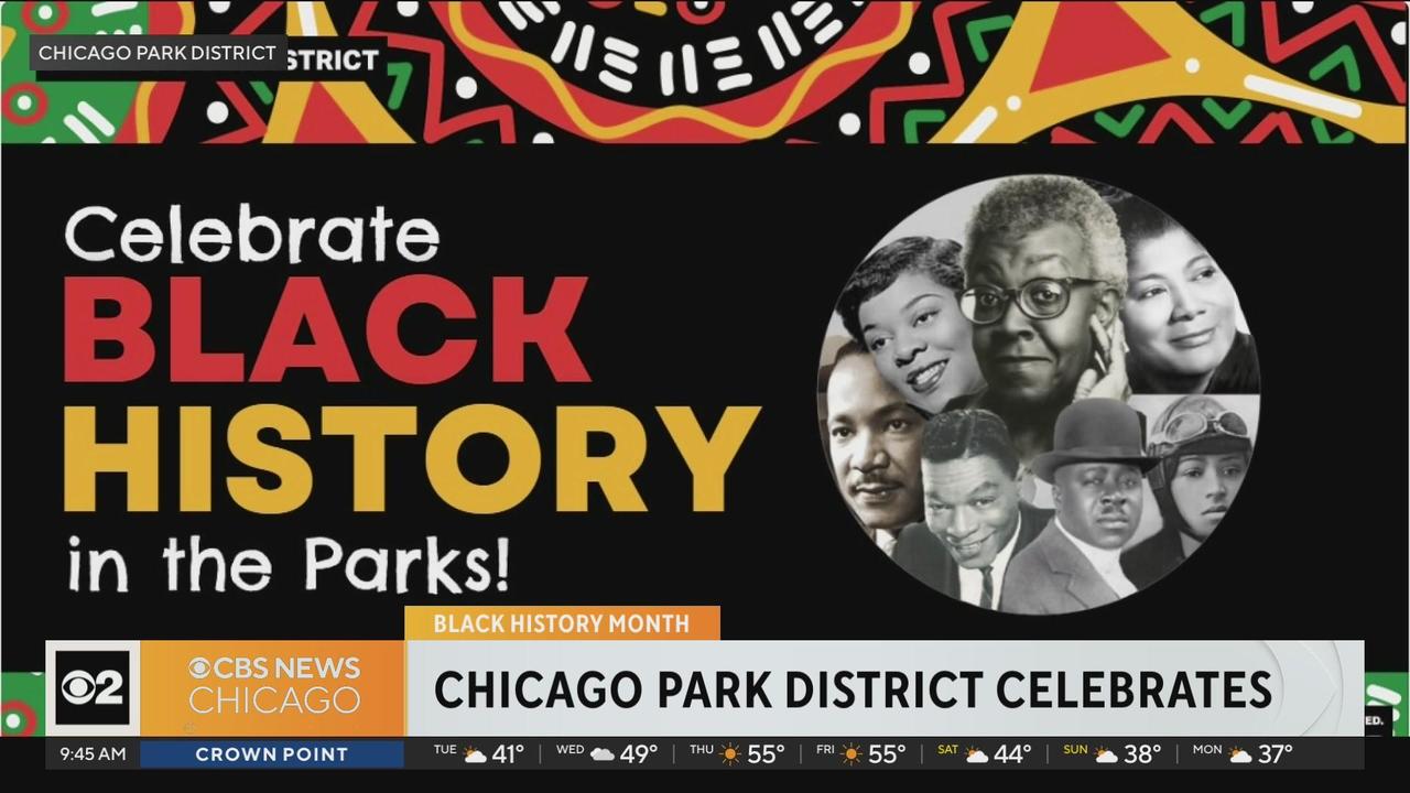 Black History Celebration in the Park