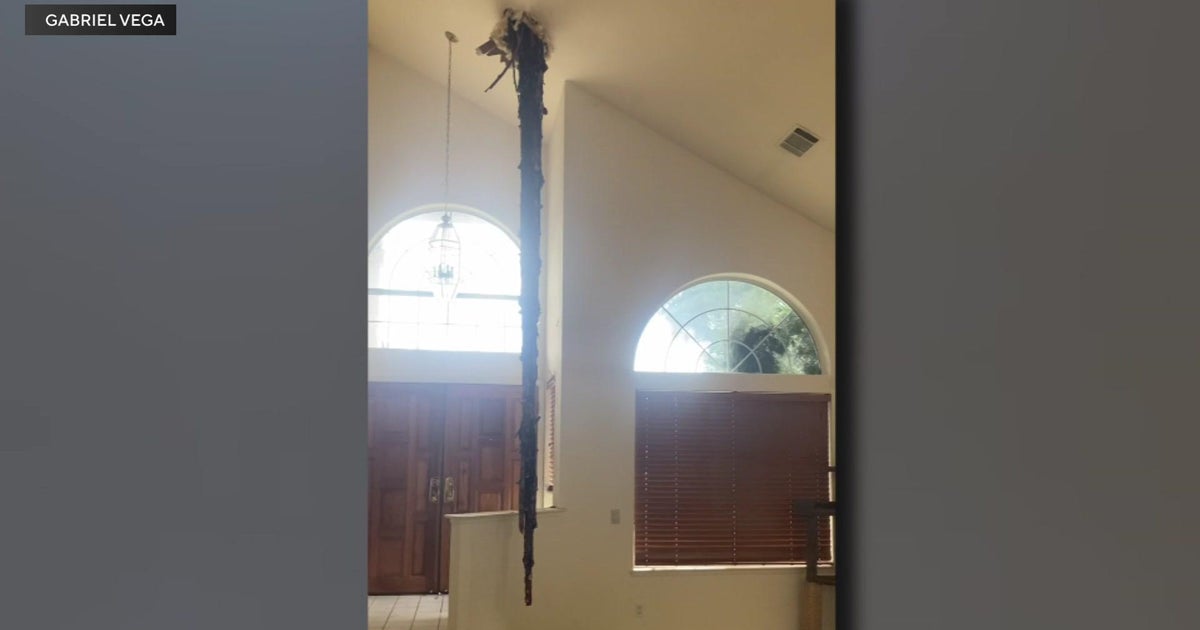 Tree crashes through Vacaville home as weekend storm pummeled Northern California