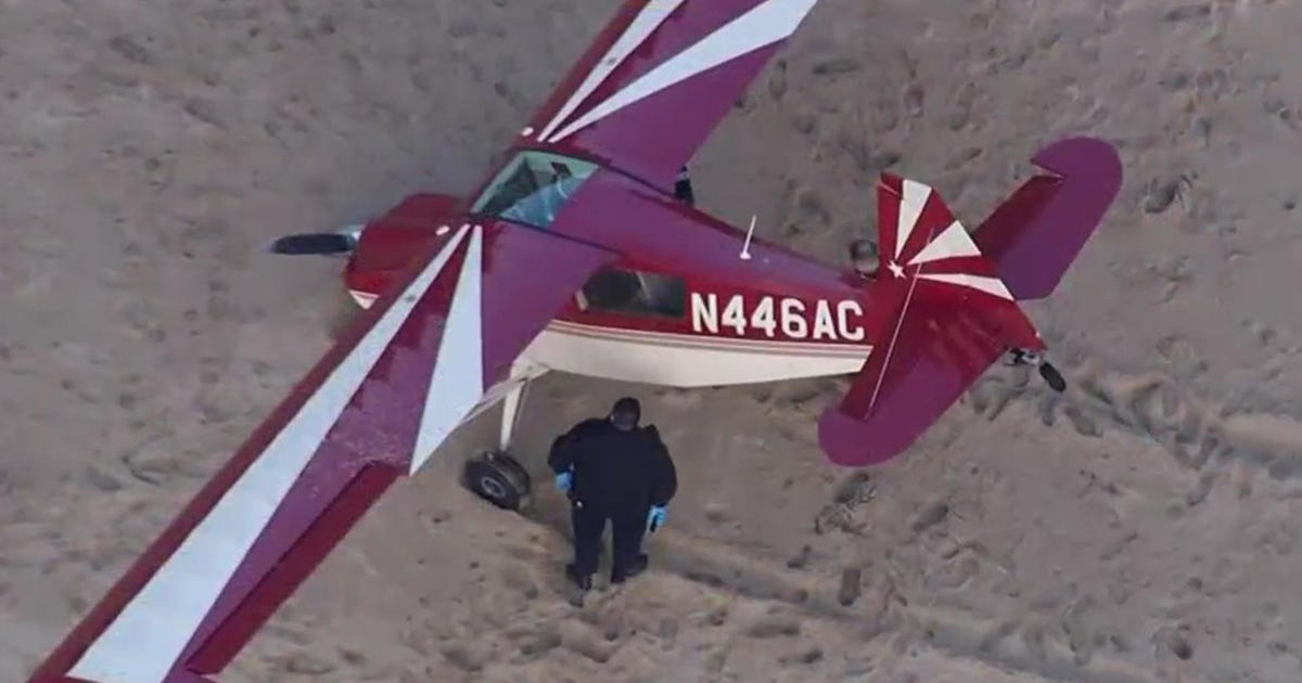 Miami man accused of thieving little airplane, crashing it on a California seaside
