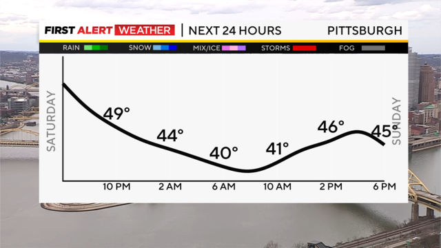 next-24-hours-temp-line-weather-bars-camera.png 