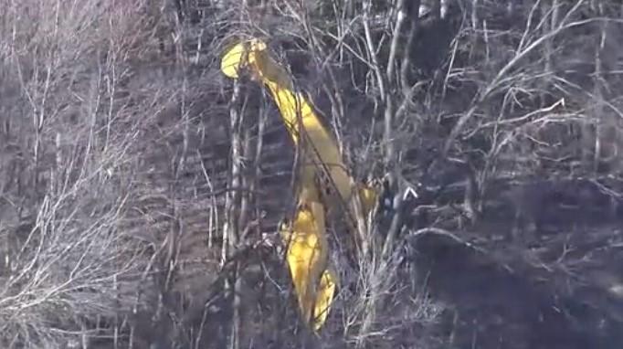 Plane crashes into tree after burst of wind in Livingston County - CBS ...