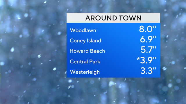 snow totals 