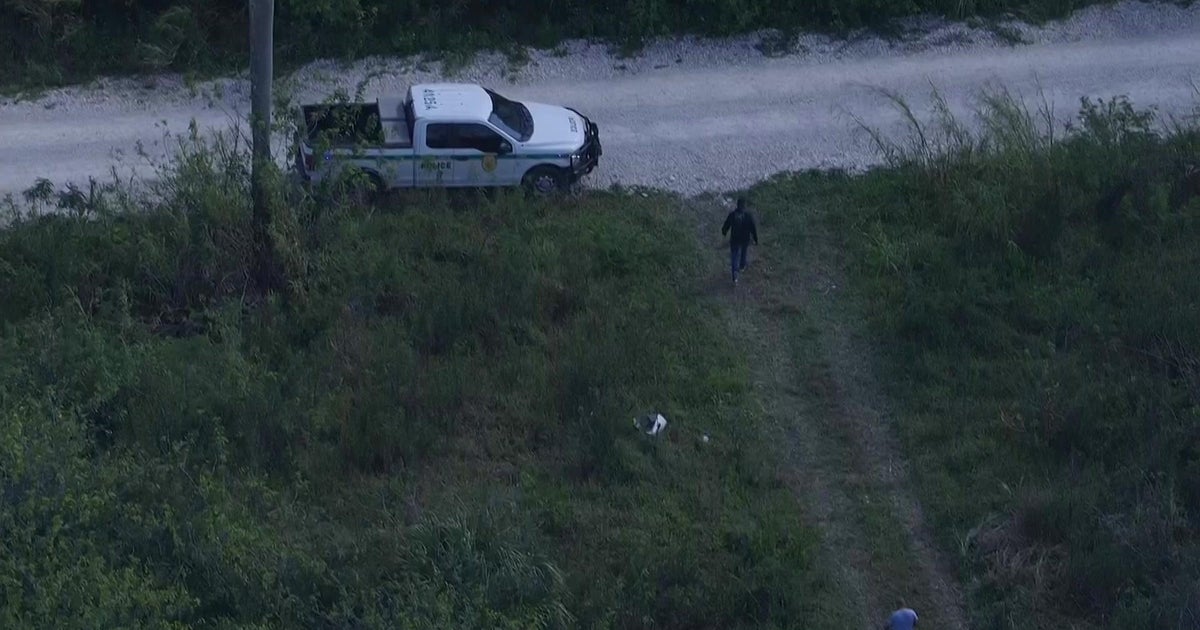Horses uncovered slaughtered in SW Miami-Dade Horses uncovered slaughtered in SW Miami-Dade