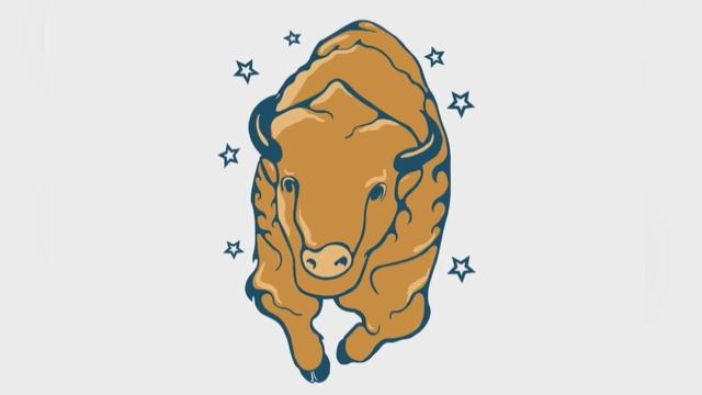 dakota-middle-school-bison.jpg 