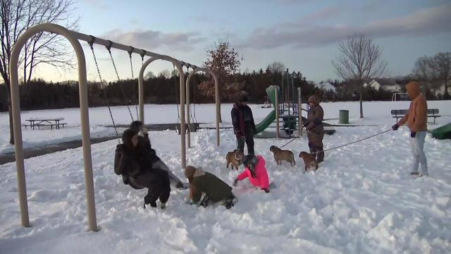 A family with three dogs play in the snow at a swing set in a park. 