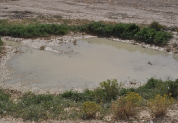 colorado-river-salinity-4-sediment-salt-retention-pond-near-delta-credit-colo-river-salinity-control-program.png 