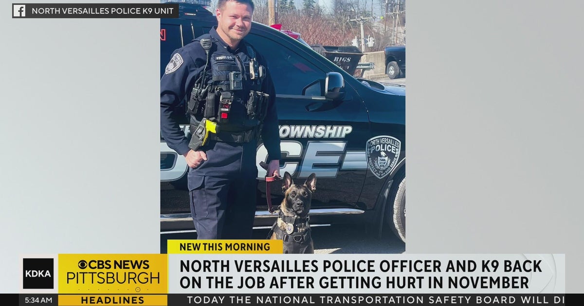 North Versailles Police officer and K9 back on the job after getting