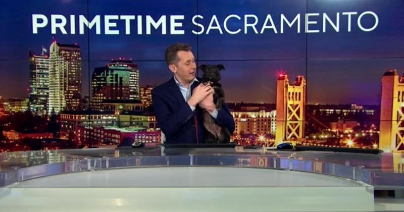 Madisen finds a lost dog