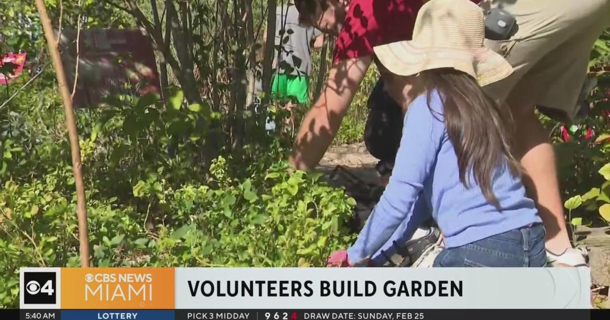 Volunteers construct interactive outdoor room at Sylvania Heights Elementary