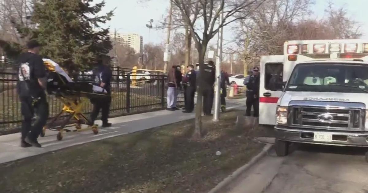 Една жена убита, трима ранени при стрелба в парк в Чикаго