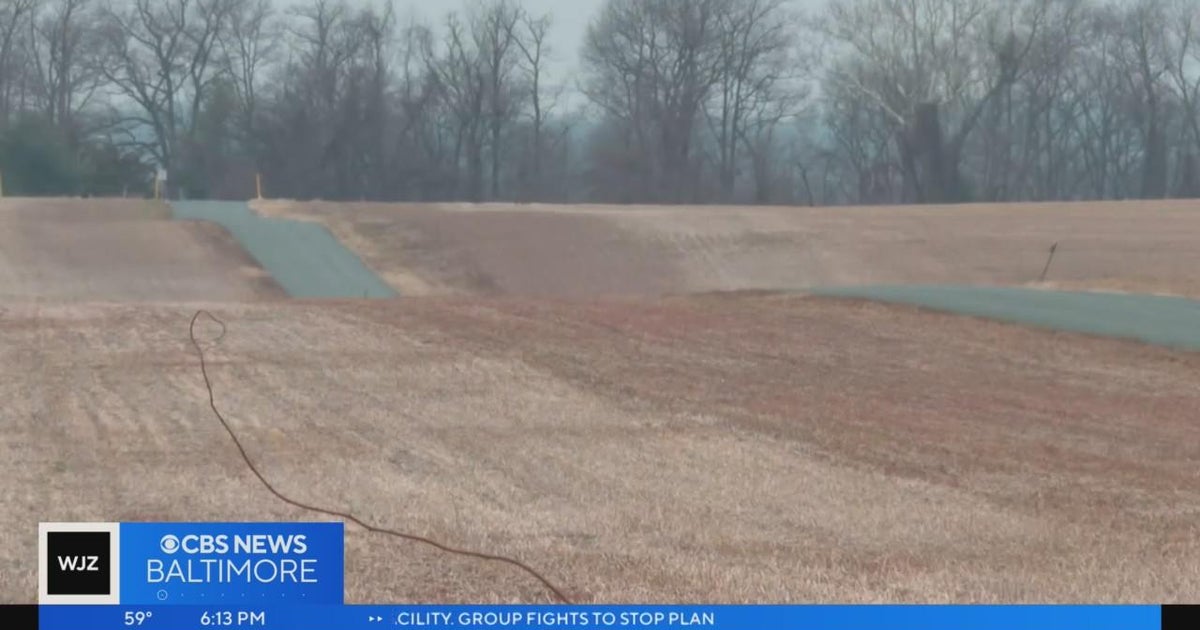 Perryman in Harford County could be new thoroughbred training facility