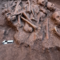 Trove of ancient skulls, bones found during construction project