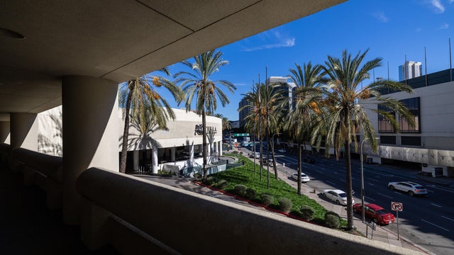 View from a outdoor walkway at the Academy of Media Arts school 