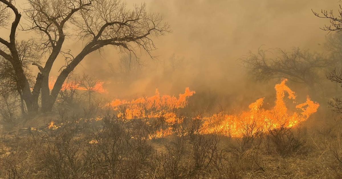 Карта на пожарите в Тексас и сателитни изображения показват къде горят горски пожари в Панхандъл и Оклахома