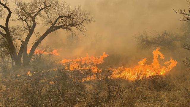 A fast-moving wildfire burns through the Texas Panhandle region on Feb. 29, 2024. 