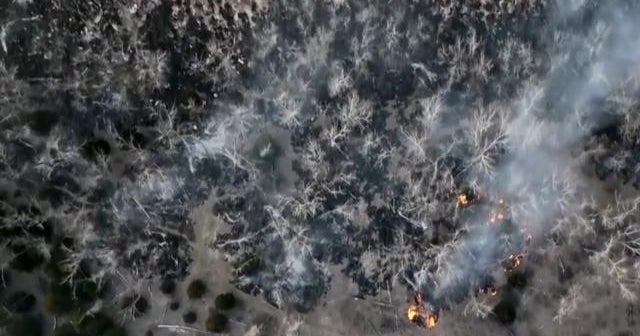 Largest wildfire in Texas history burns 1.1 million acres - CBS News