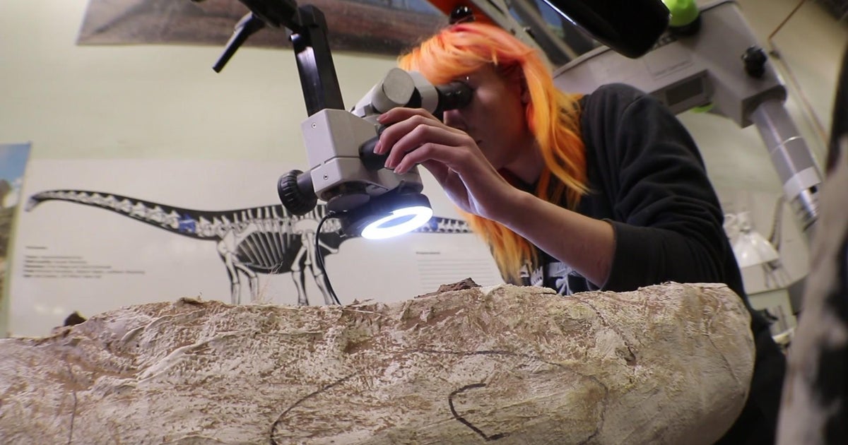 It took more than childhood dreams for Denver woman to become a paleontologist - CBS Colorado