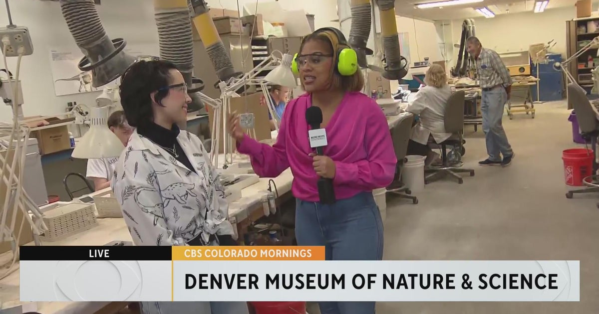Girls and Science celebrates 10 years at Denver Museum of Nature & Science - CBS Colorado