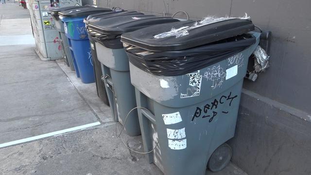 A row of lidded trash bins sits outside a business. 