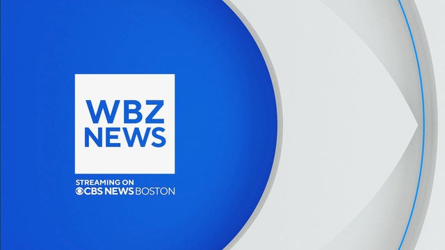 Wbz store live stream