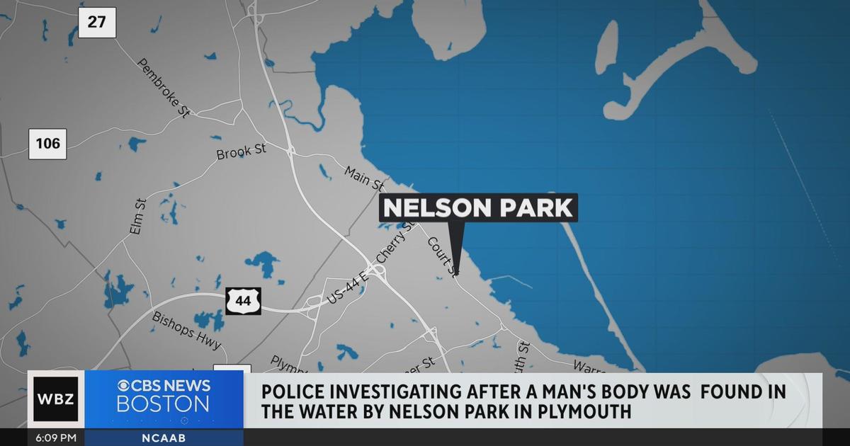 Police are investigating the body of a man found in the water in Plymouth