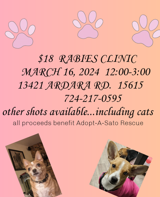 rabies-clinic-1.png 