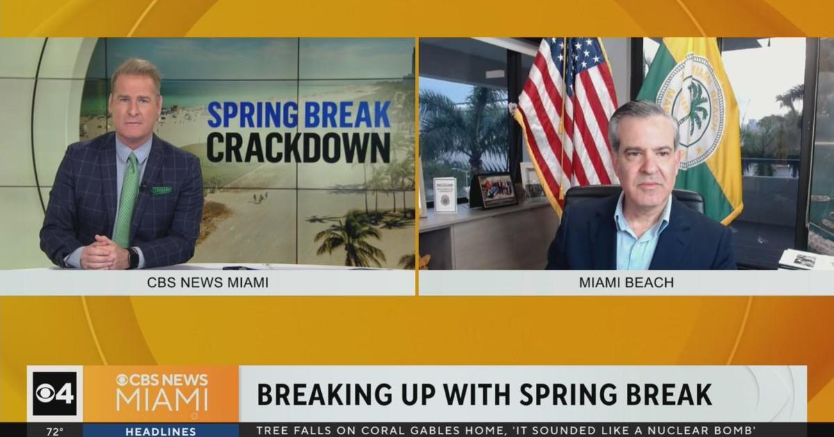 Miami Beach Mayor Steven Meiner explained local community, enterprises assistance Spring Split crackdown