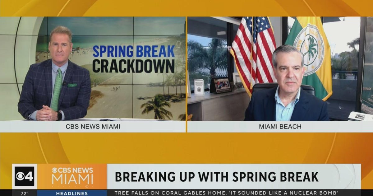 Miami Beach Mayor Steven Meiner explained local community, enterprises assistance Spring Split crackdown Miami Beach Mayor Steven Meiner explained local community, enterprises assistance Spring Split crackdown
