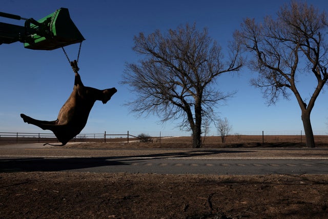 Aftermath of wildfires in Canadian, Texas 