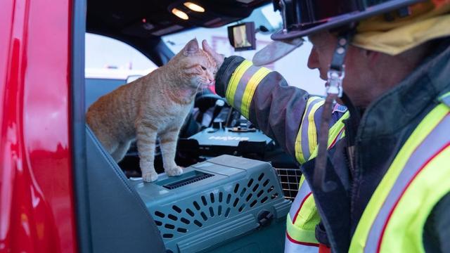 hazmat-cat-5-south-metro-fire-rescue-tweet.jpg 