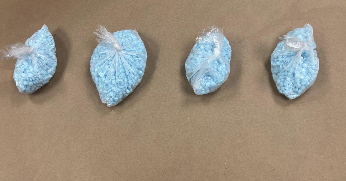 4,800 fentanyl pills seized in central Minnesota narcotics ...