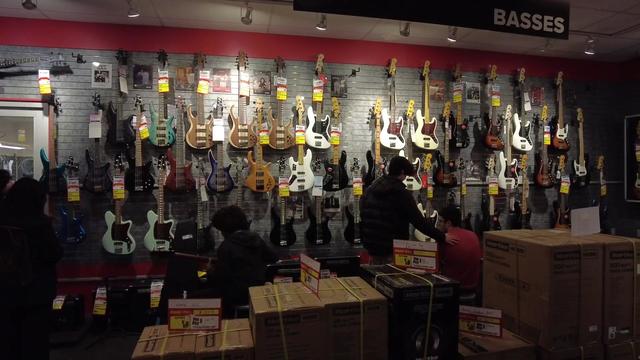 A wall of bass guitars for sale inside a Sam Ash store. 