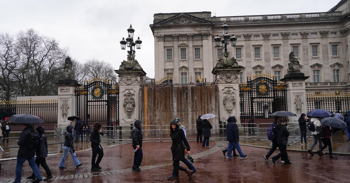 Londra polisi, sürücünün arabayı Buckingham Sarayı'nın kapısına çarptığını söyledi