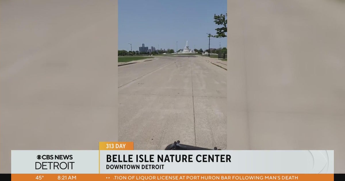 LittleGuide Detroit: Activities for the family on 313 Day - CBS Detroit