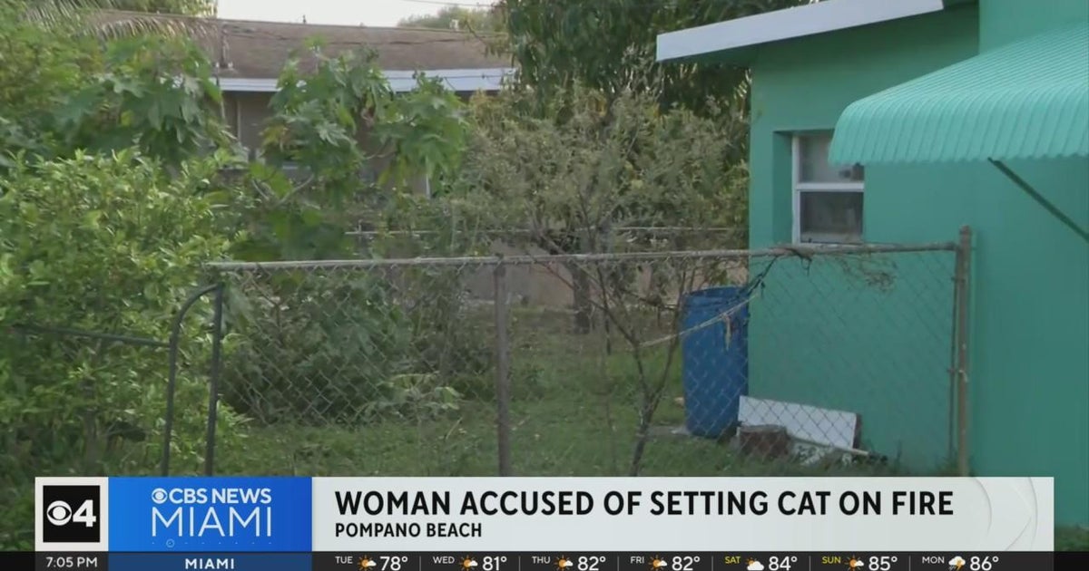 Pompano Beach woman accused of setting cat on fire - CBS Miami