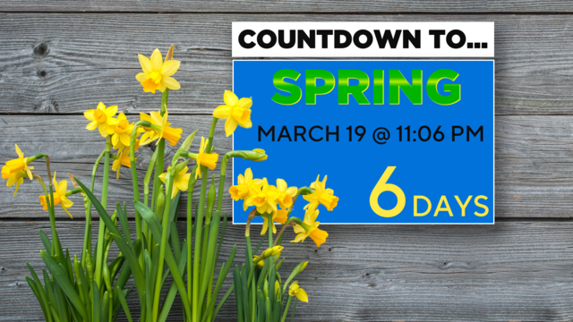 spring-countdown-tom.png 