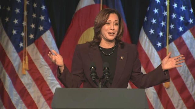 Vice President Harris Delivers Remarks On Climate Change 