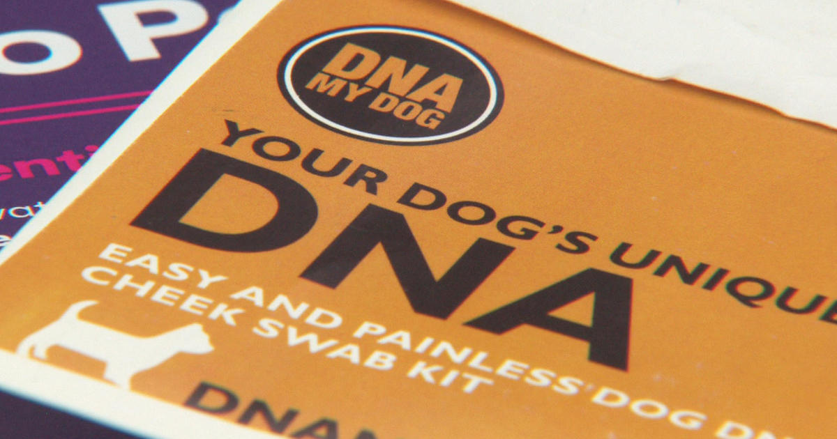 Компанията за ДНК на домашни любимци изпраща за втори път резултати за породи кучета от човешка проба
