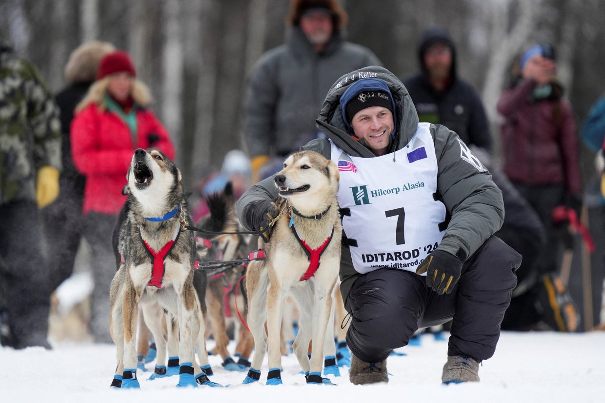 Musher penalized after killing moose still wins record 6th Iditarod