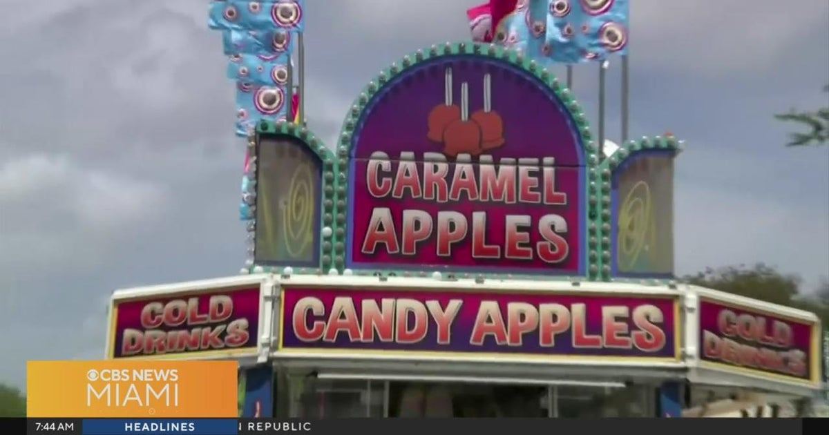 Miami-Dade Youth Honest returns Thursday for 21 working day operate Miami-Dade Youth Honest returns Thursday for 21 working day operate
