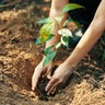 Bay Area scientists dig into how to keep soils healthy as planet warms 