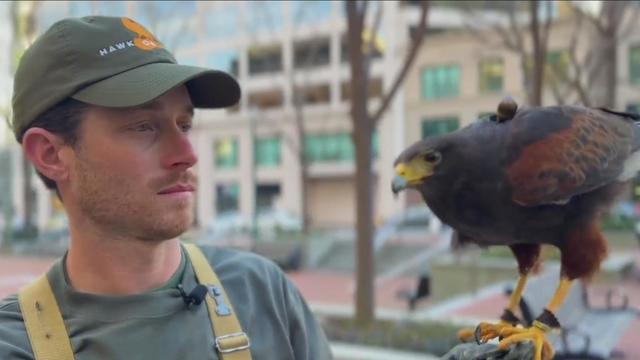 Adam Baz and Jasper the Hawk 