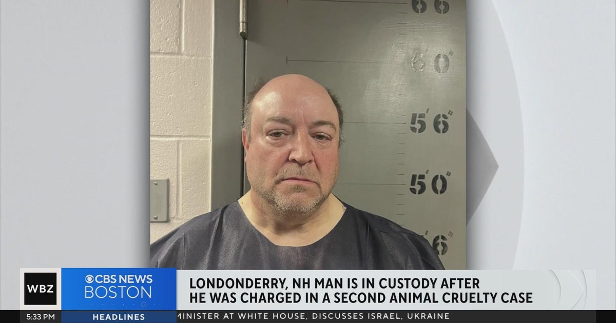N.H. man charged with animal cruelty for 2nd time after cats found in ...