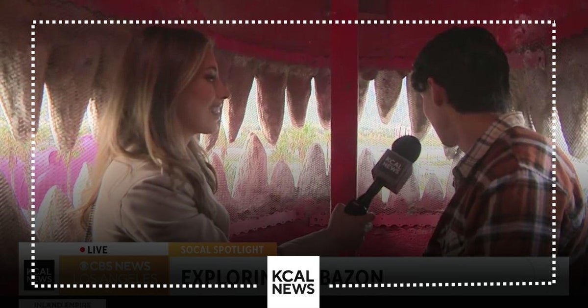 Cabazon Dinosaurs SoCal Spotlight CBS Los Angeles