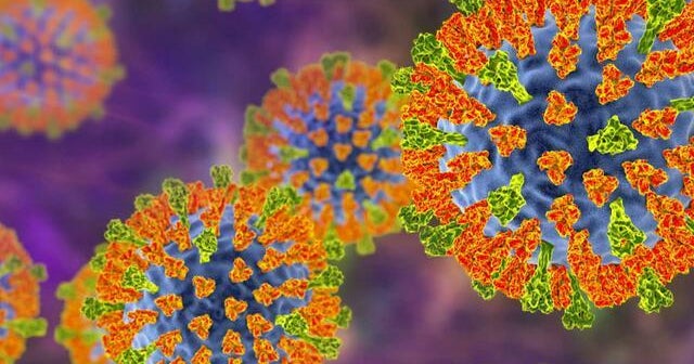 Measles infections are on the rise, with more cases so far in 2024 than all of last year Measles infections are on the rise, with more cases so far in 2024 than all of last year
