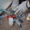 Gambia may become first nation to reverse female genital mutilation ban