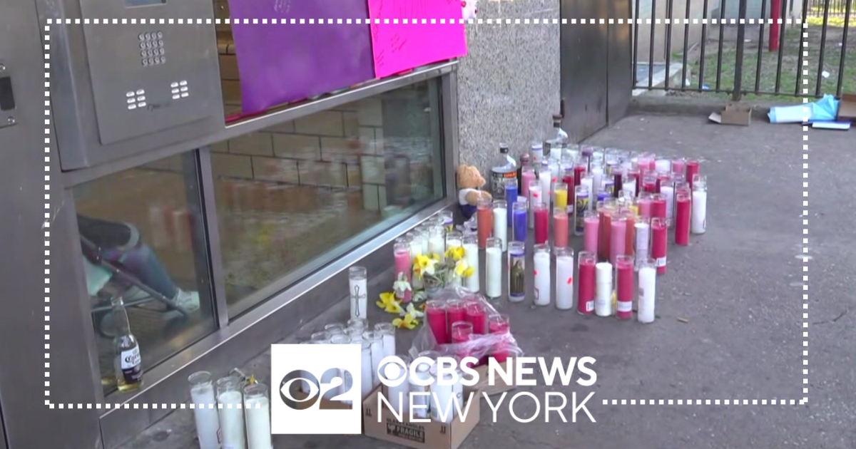 Search for suspects after twins stabbed inside Brooklyn deli - CBS New York