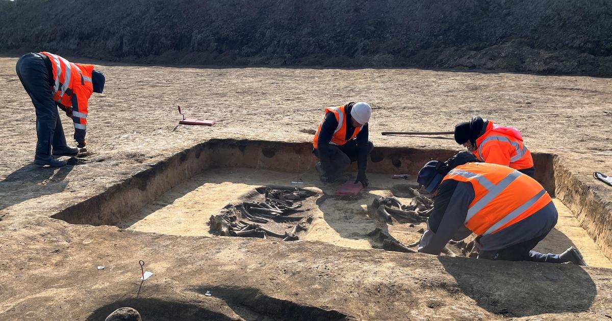 Ancient chariot grave found at construction site for Intel facility in Germany