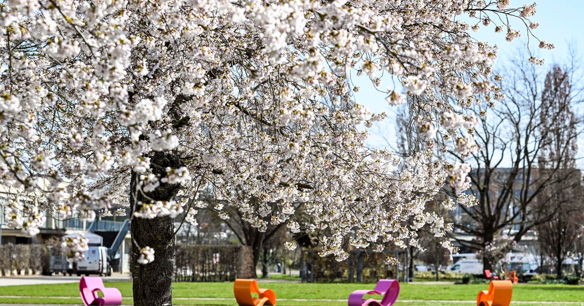 The first day of spring in 2025 was a day earlier than typical years