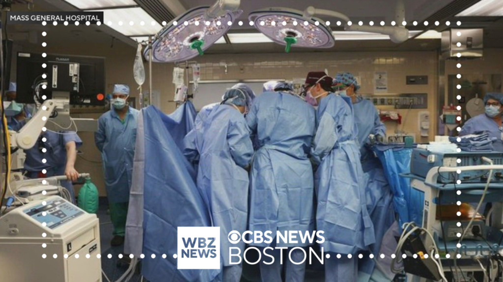 Doctors transplant pig kidney into man in Boston